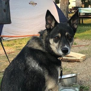 Meet your Posher, Emma